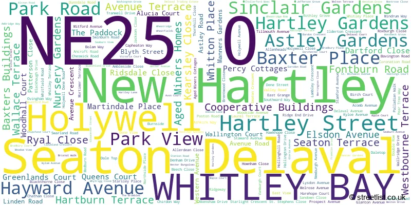 A word cloud for the NE25 0 postcode