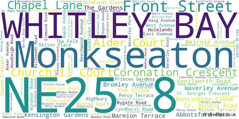 A word cloud for the NE25 8 postcode