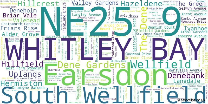 A word cloud for the NE25 9 postcode