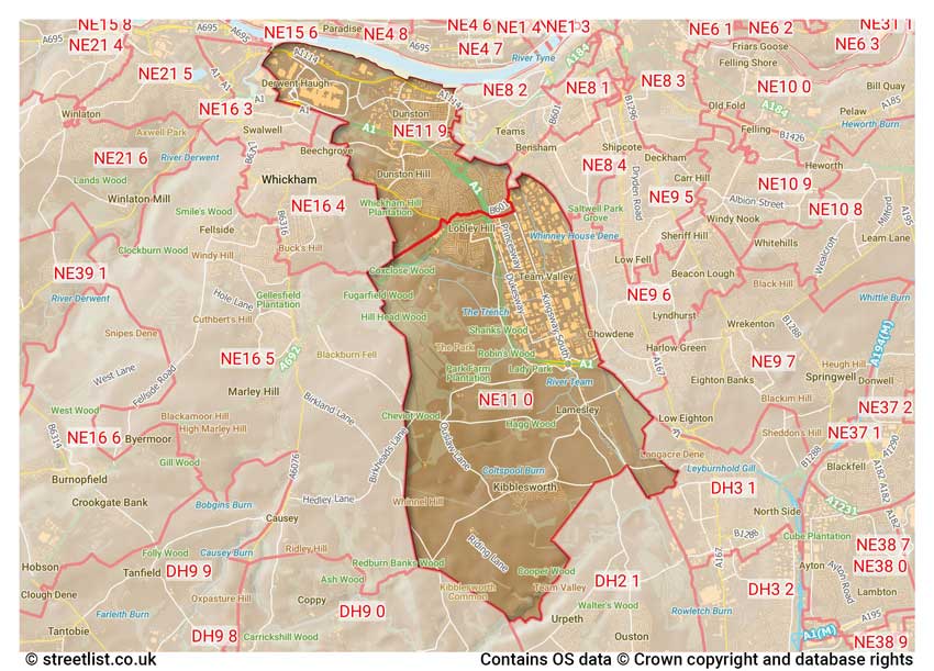 map showing postcode sectors within the NE11 district