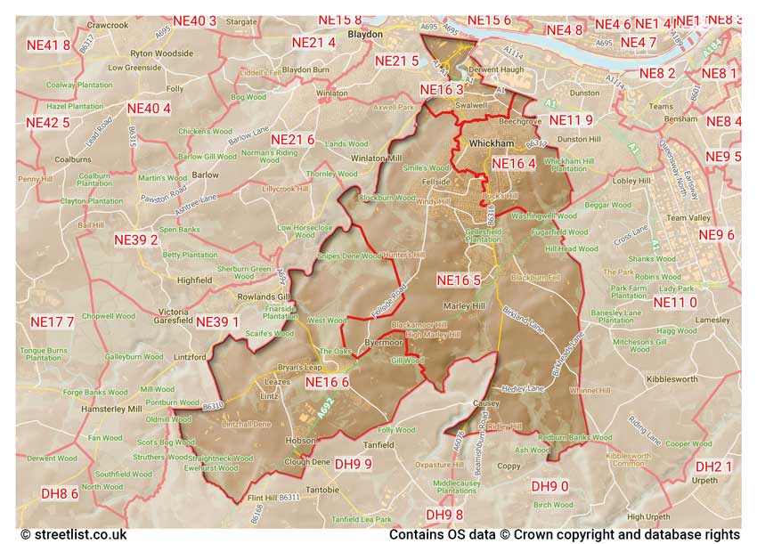 map showing postcode sectors within the NE16 district