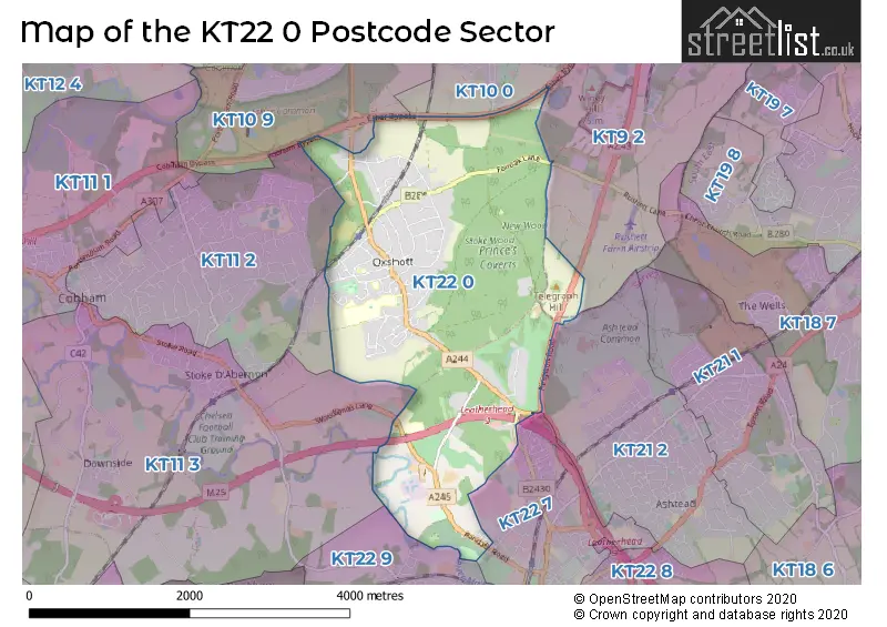 Map of the KT22 0 and surrounding postcode sector