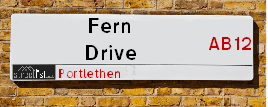 Fern Drive