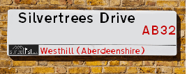 Silvertrees Drive