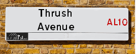 Thrush Avenue