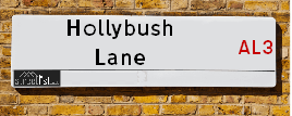 Hollybush Lane