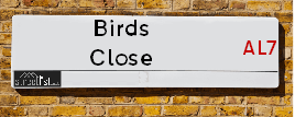 Birds Close