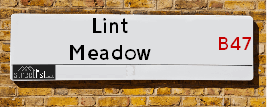 Lint Meadow