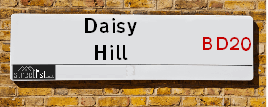 Daisy Hill