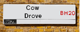 Cow Drove