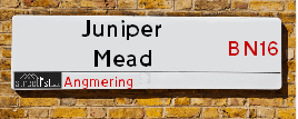 Juniper Mead