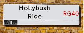 Hollybush Ride